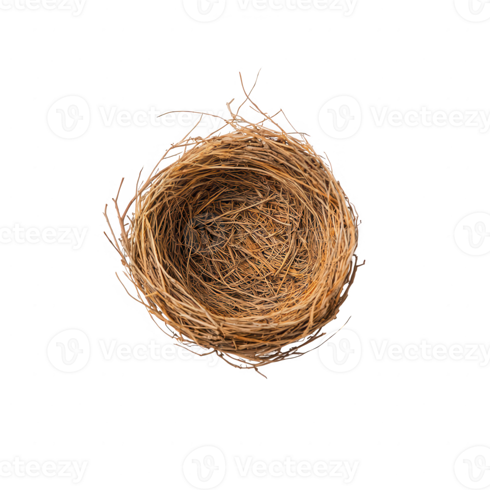 A close-up view of a rustic bird's nest made of twigs and grass. png