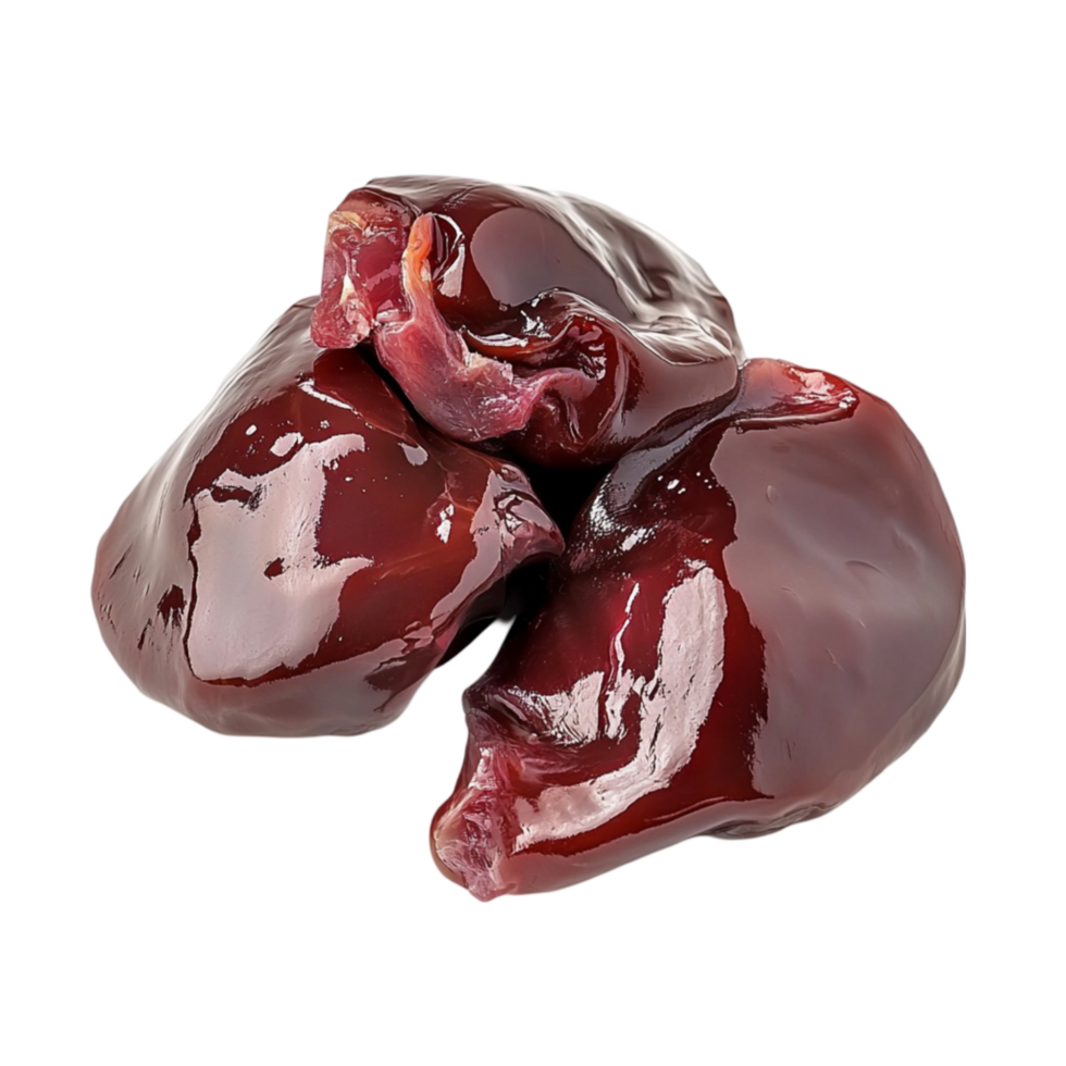 Tasty Chicken Drumstick on Transparent Background png