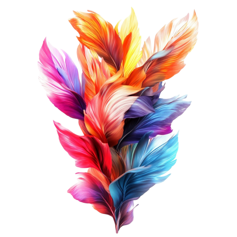 Colorful feathers on black background png
