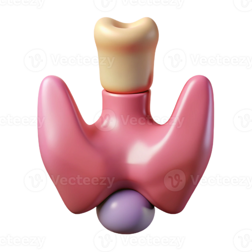 3D Illustration of a Thyroid Gland png