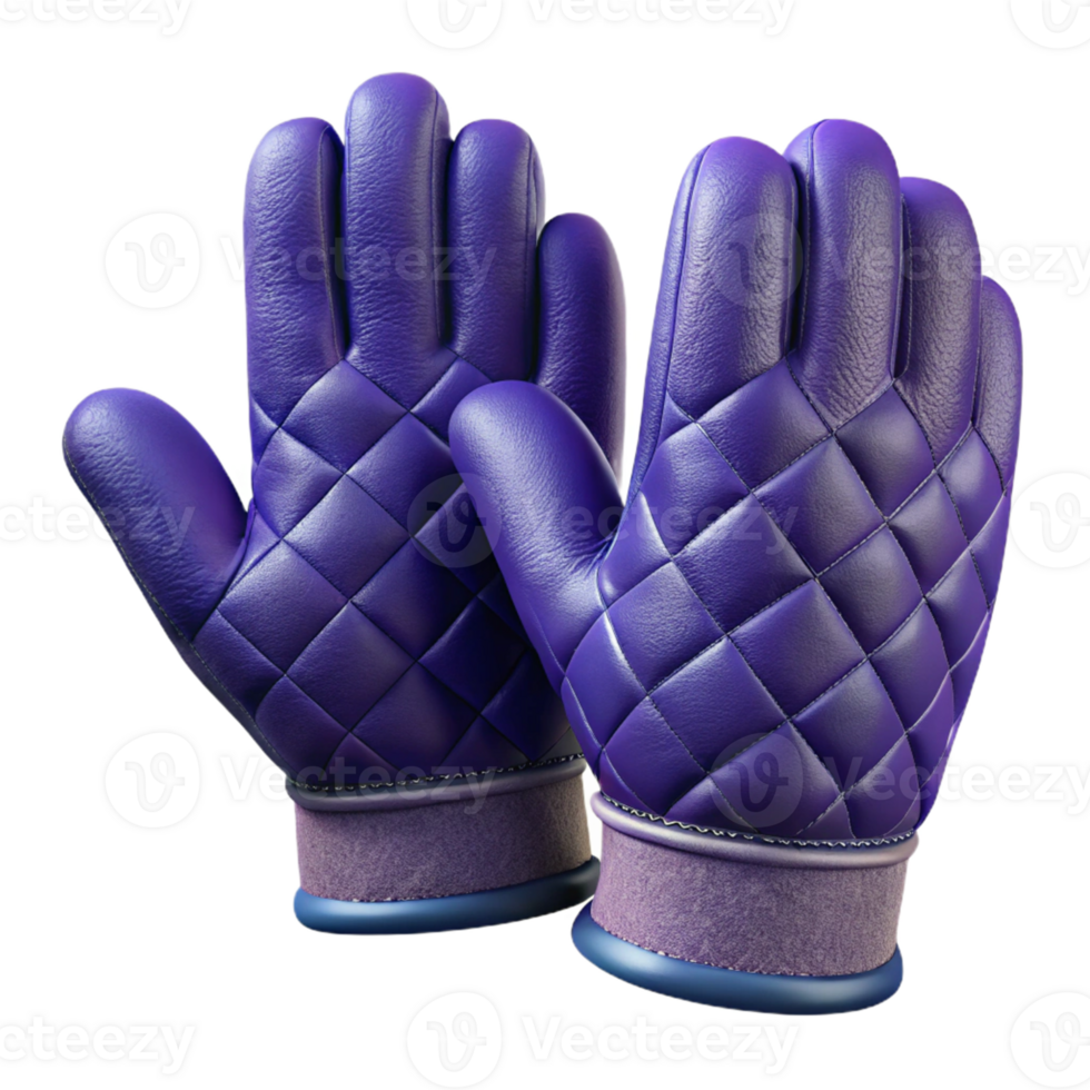 Purple Quilted Gloves with Blue Trim png