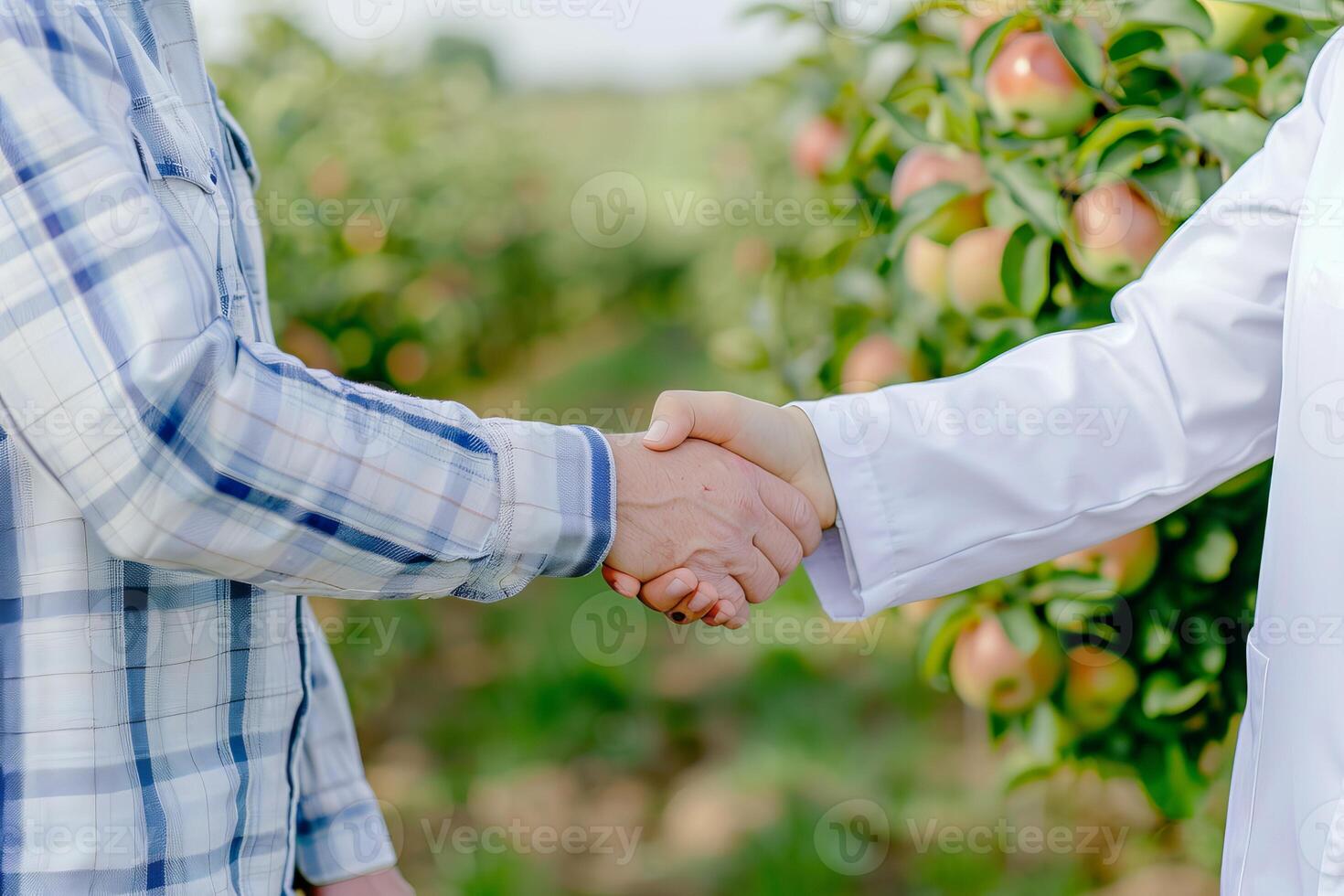 Agricultural partnership in orchard setting with handshake for collaboration and growth photo