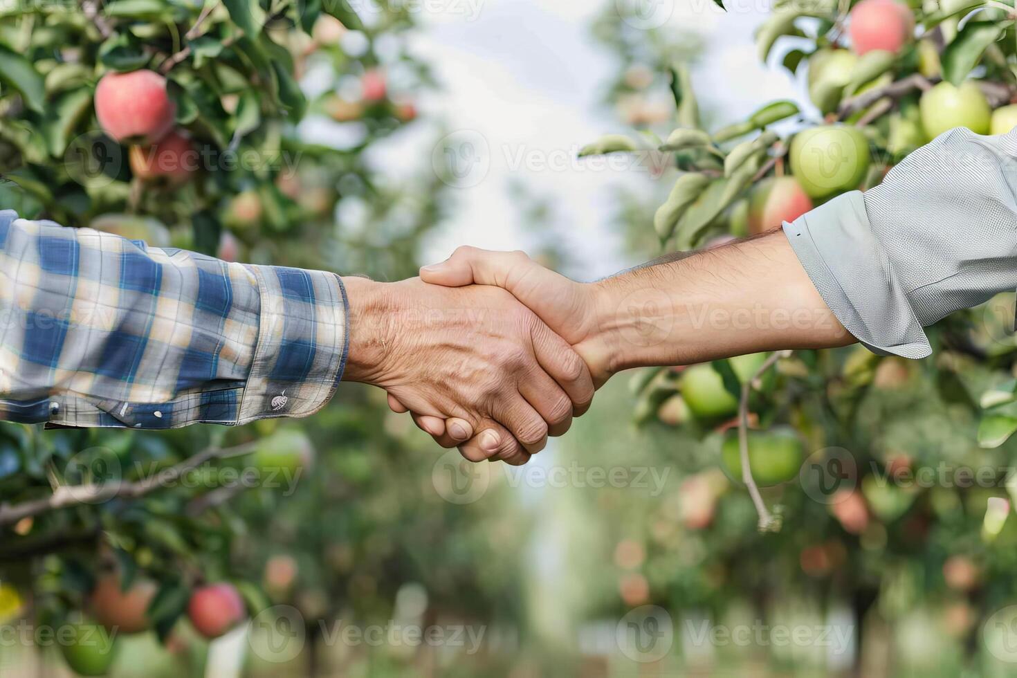 Agricultural partnership in apple orchard handshake concept photo