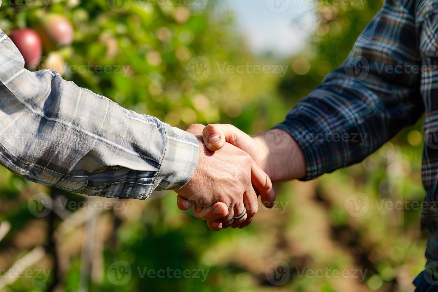 Agricultural partnership and collaboration, farmers handshake in orchard photo