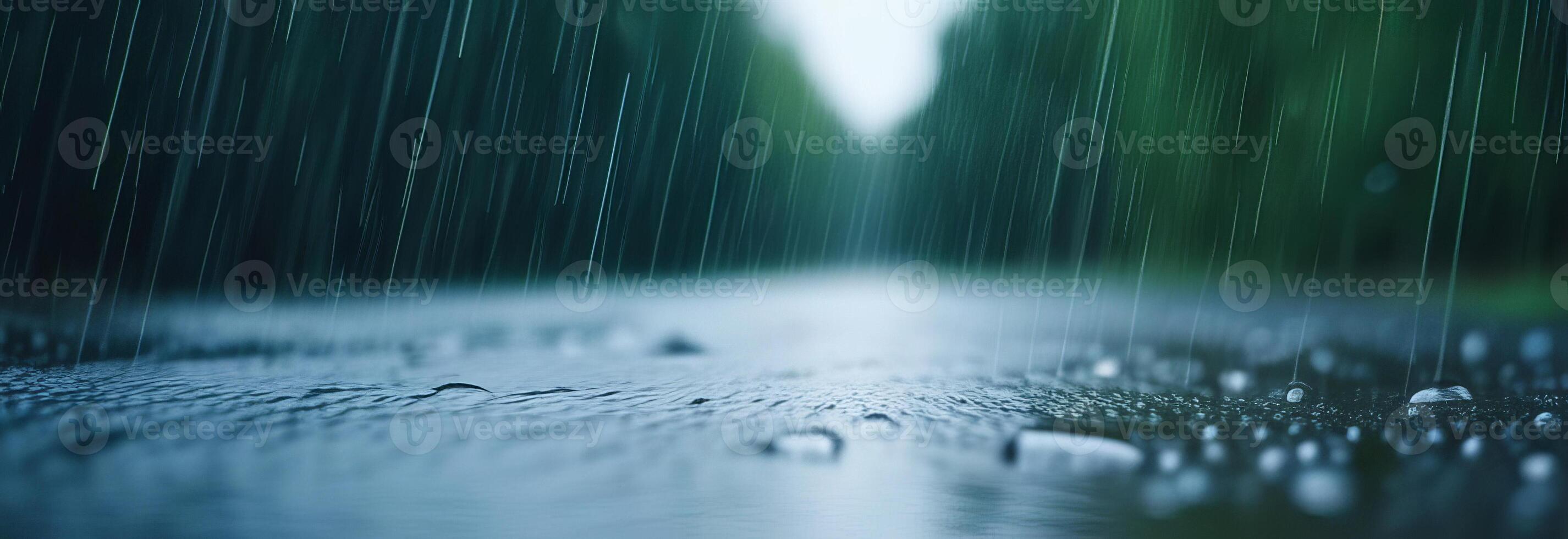 Serenity of rainfall on a quiet forest road photo