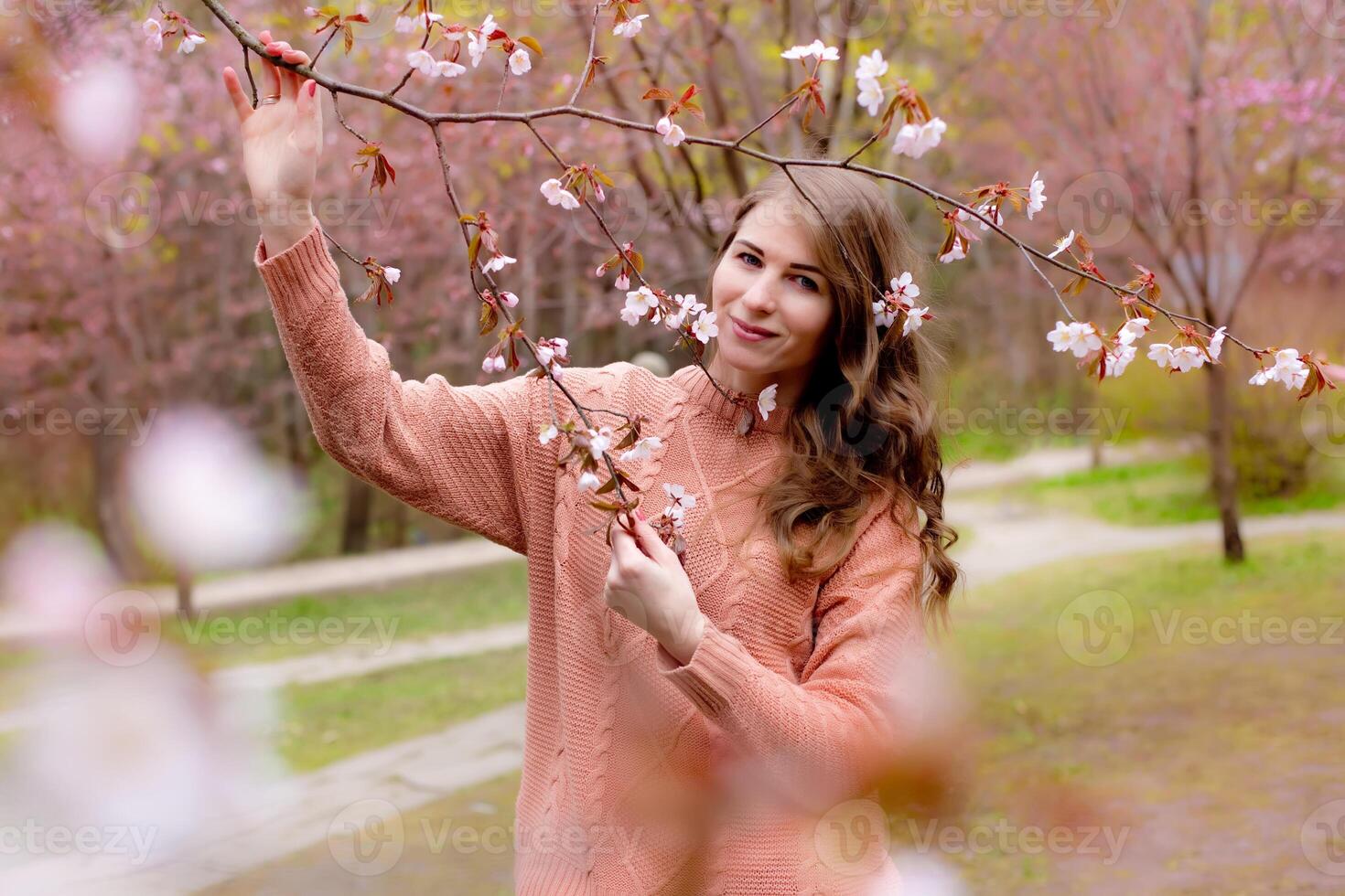 Pretty woman standing under pink blossom branch Sakura photo