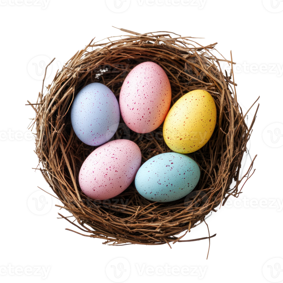 Bird nest with colorful eggs isolate on transparent background png