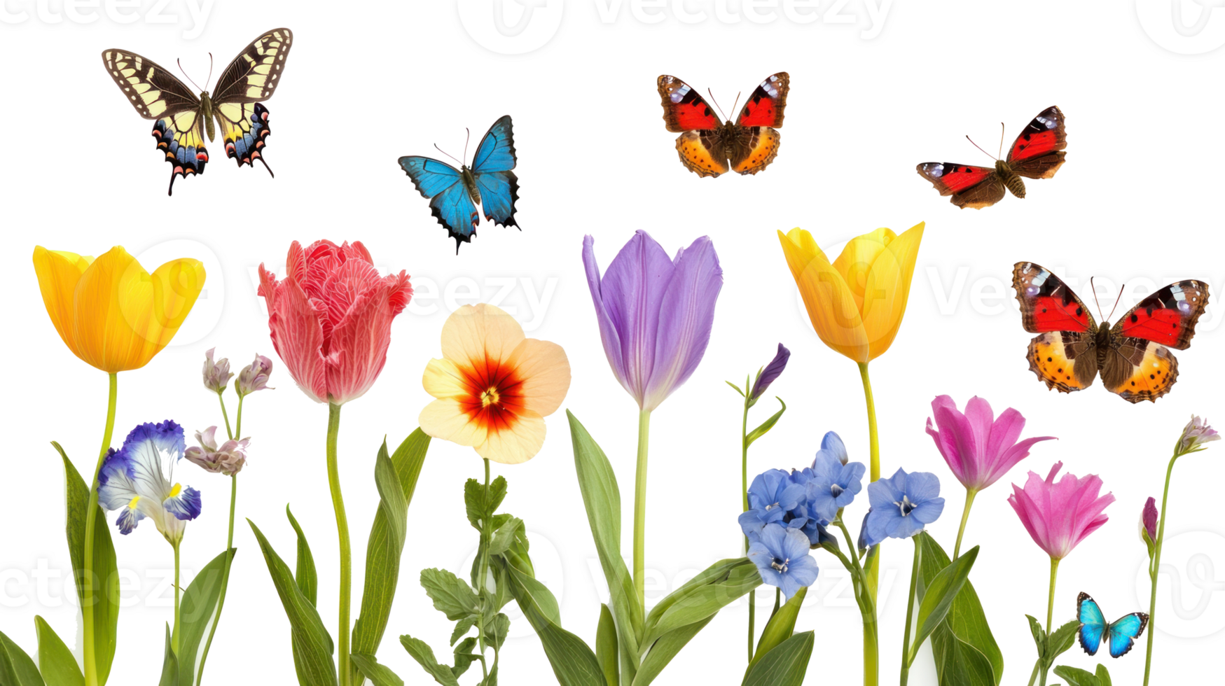 different spring flowers and color and butterflies isolate on transparent background png