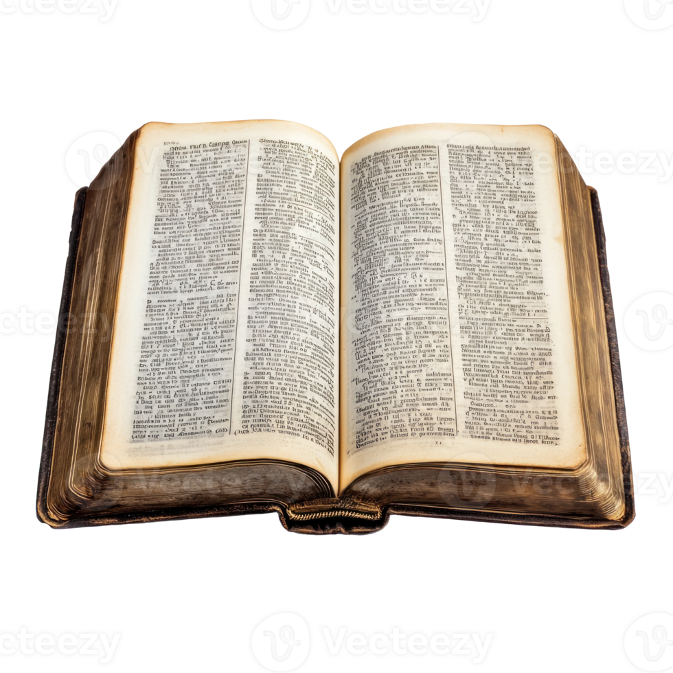 Holy bible book open top view isolate on transparent background png