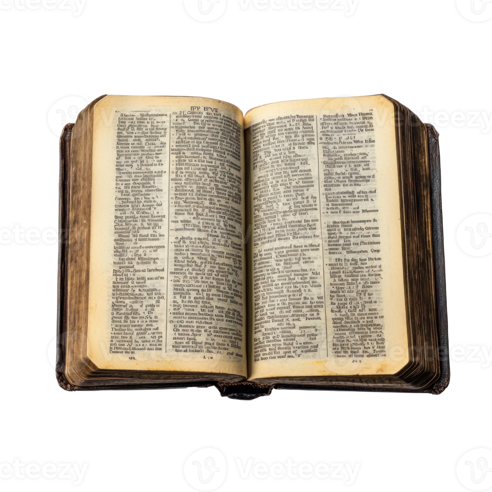 bible isolate on transparent background png