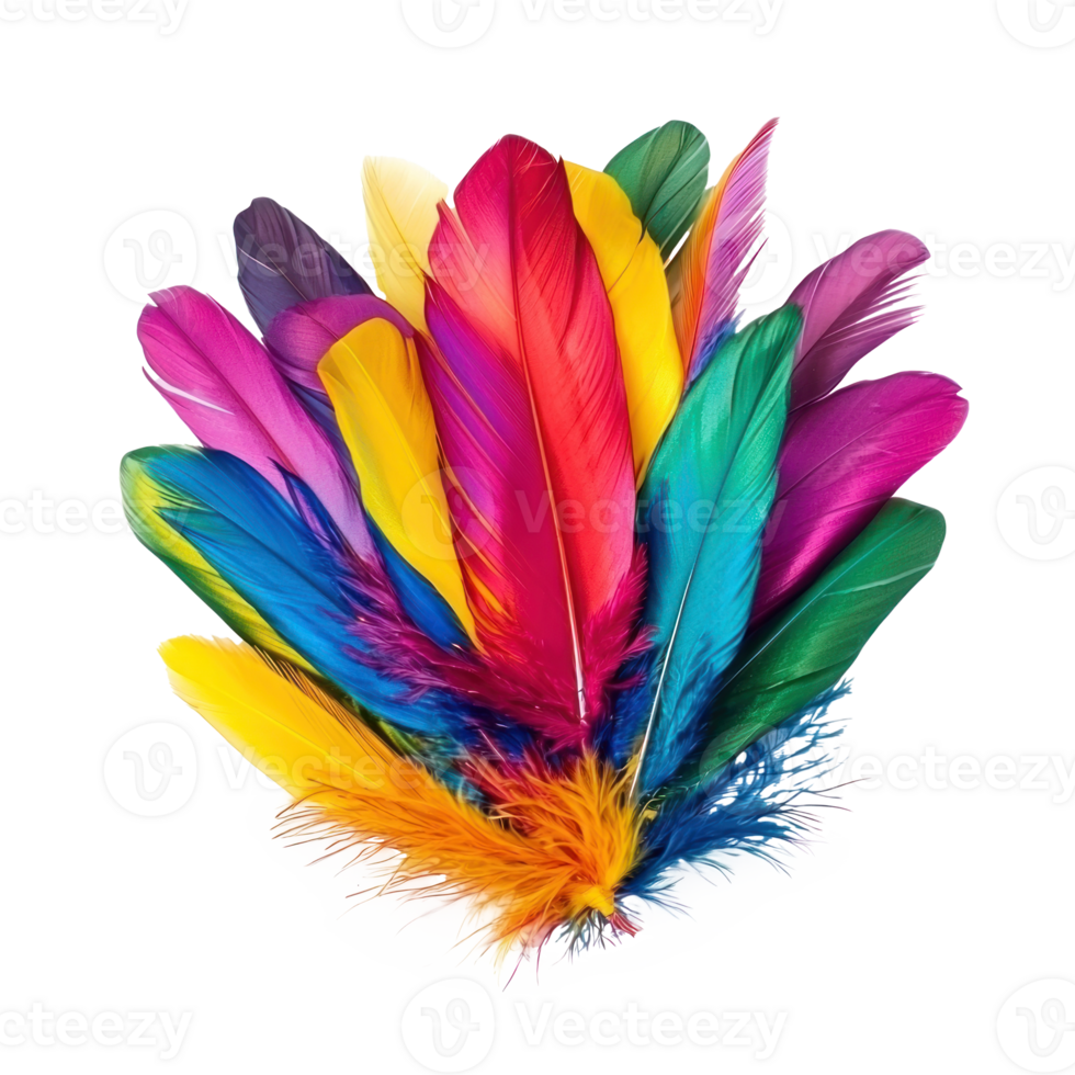 Mardi Gras decorated with colorful feathers isolate on transparent background png