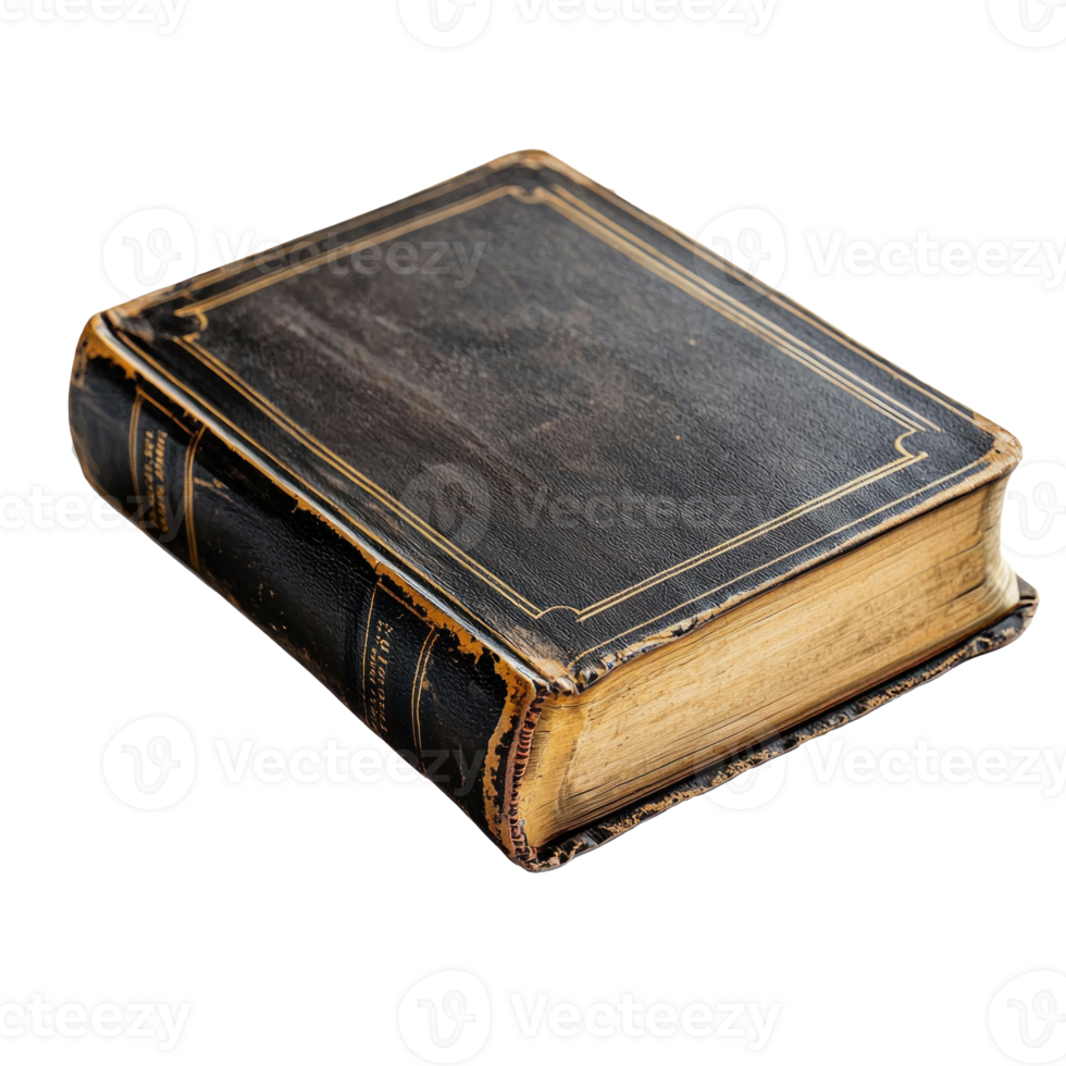 Holy bible book isolate on transparent background png