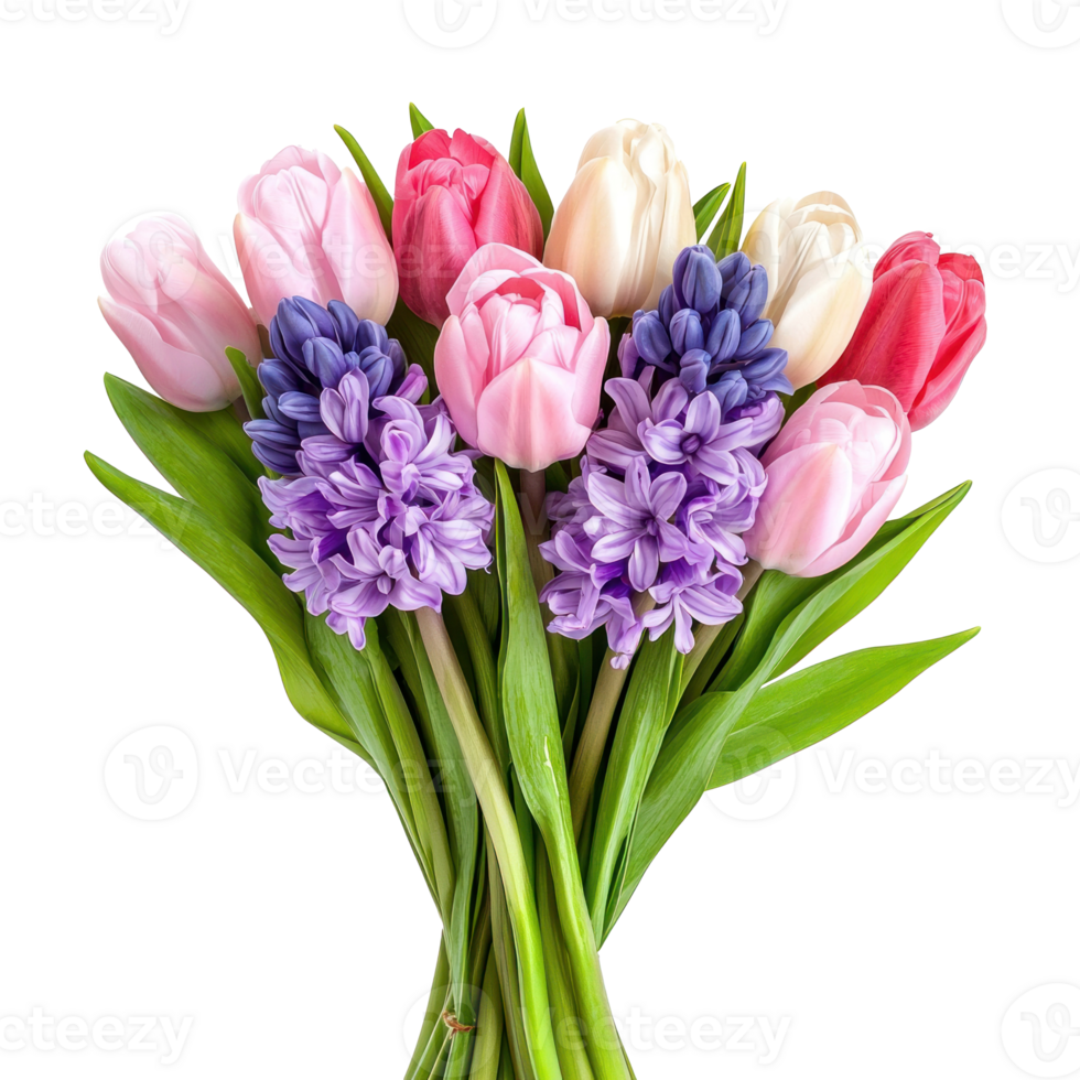 Tulip hyacinth flowers bouquet isolate on transparent background png