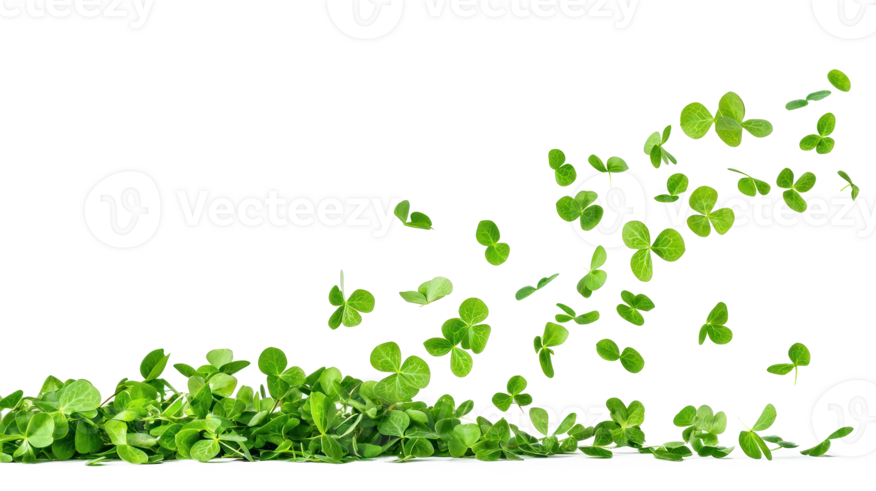 Leaf Clover falling isolate on transparent background png