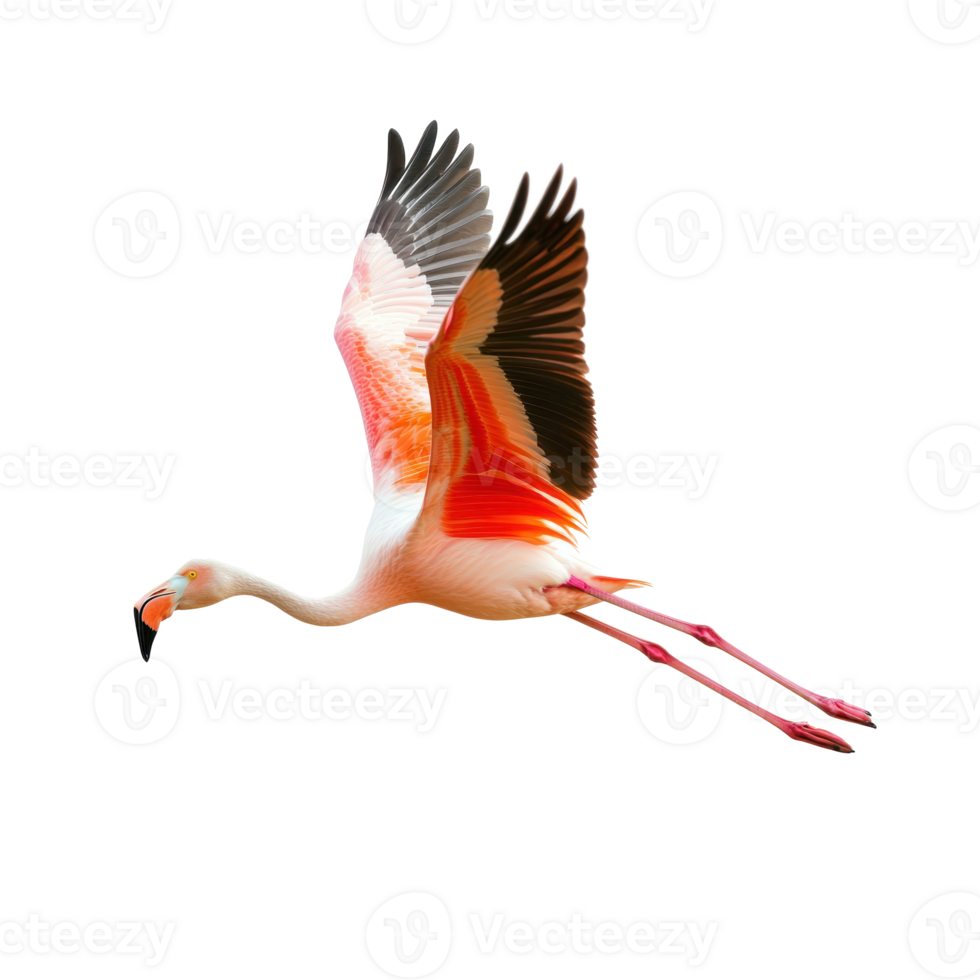 flamingo flying in the air on a transparent background png