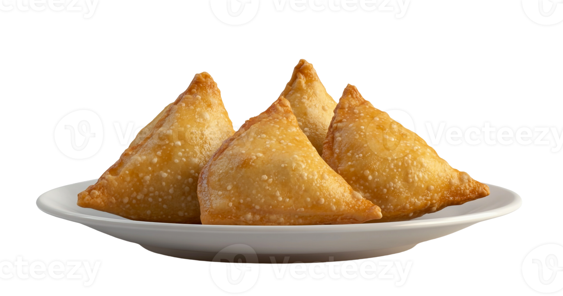 escamoso samosa en un servicio plato png