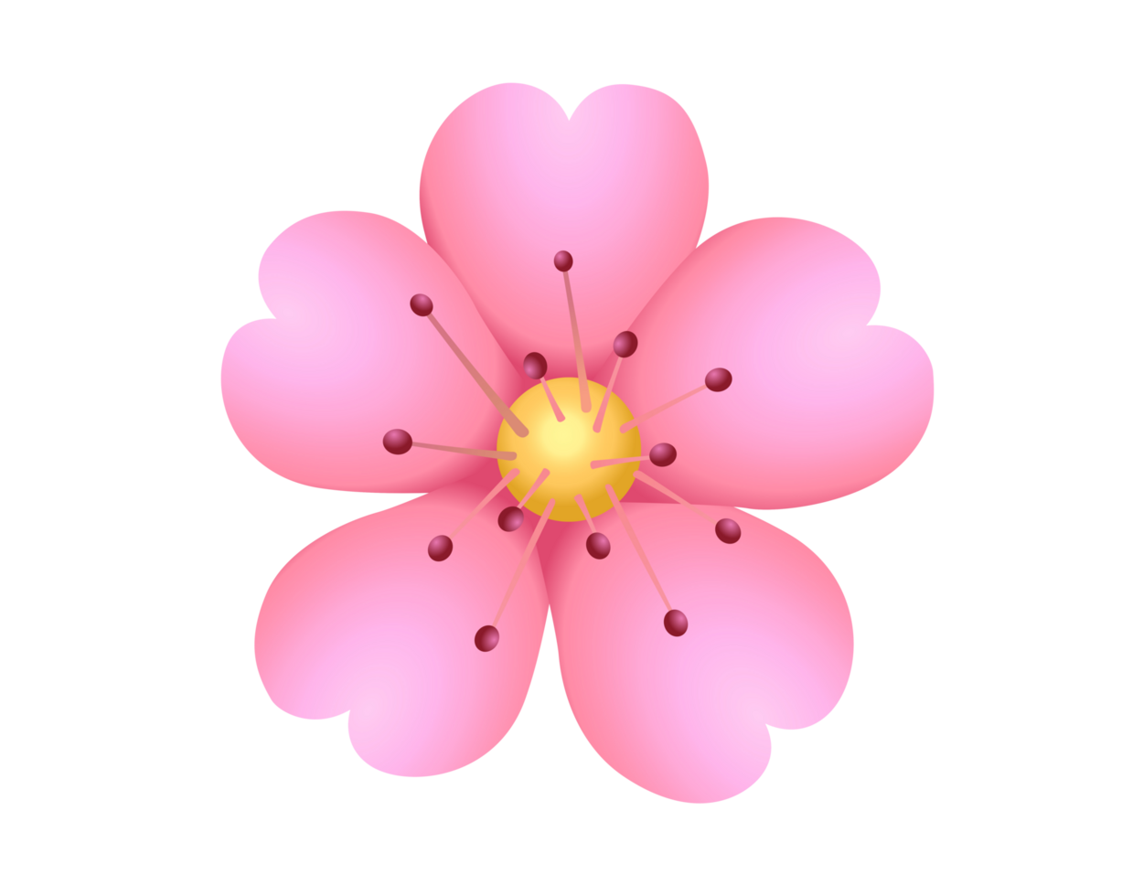 Liight pink sakura flower of cherry blossom icon with five