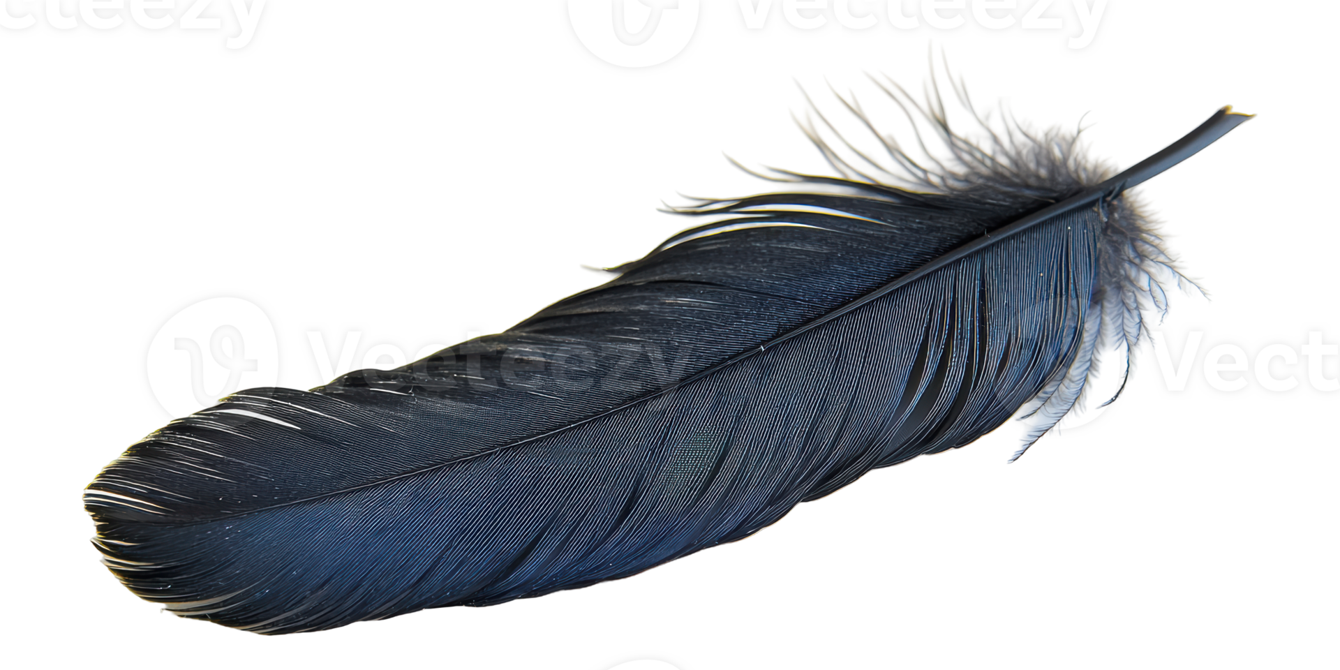 Black feather isolated on transparent background png