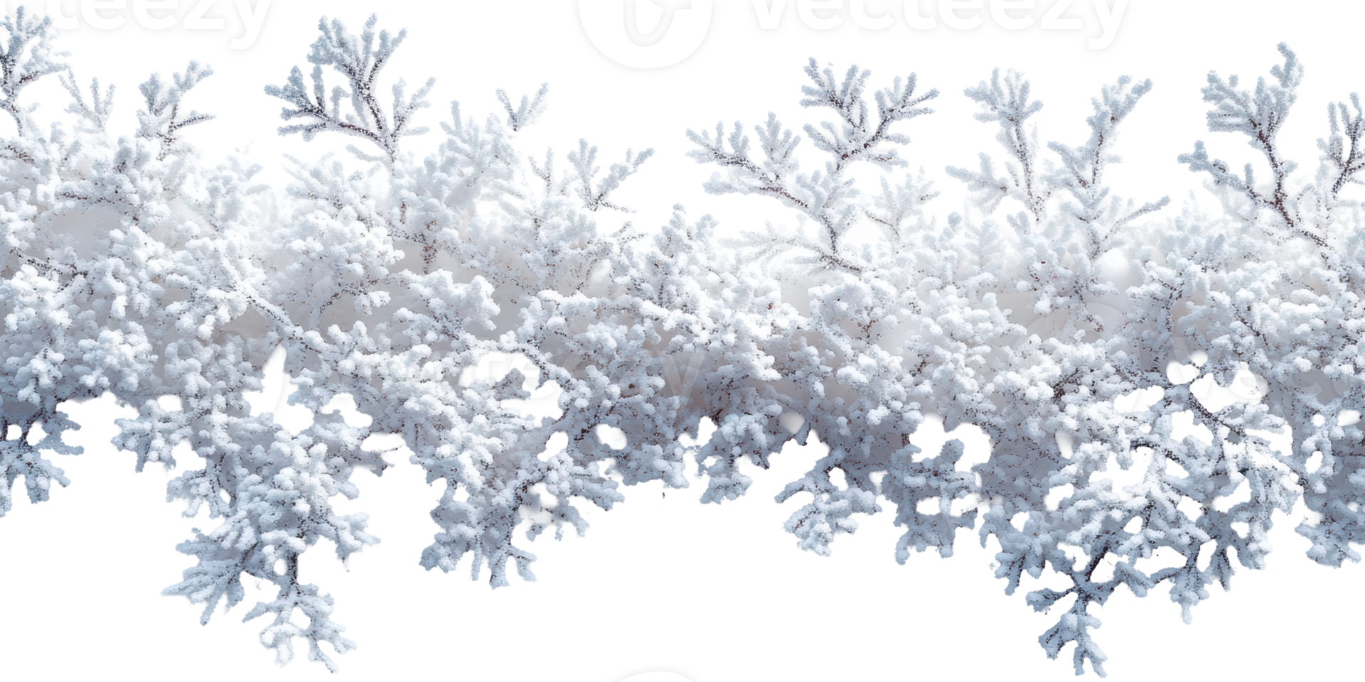 Snowy frost pattern with intricate details isolated on transparent background png