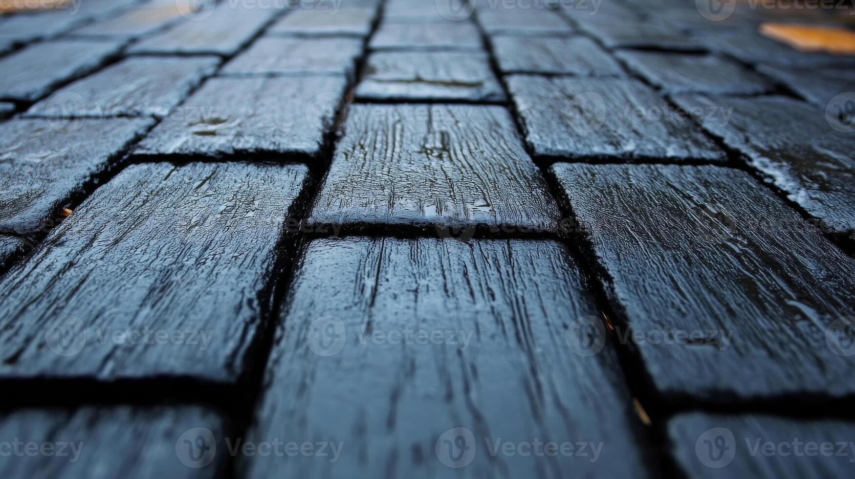 A close up of a black brick walkway photo
