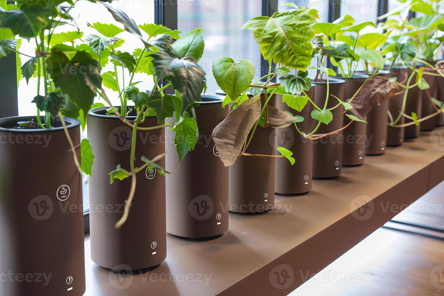 Innovative indoor plant display with smart pots by window photo