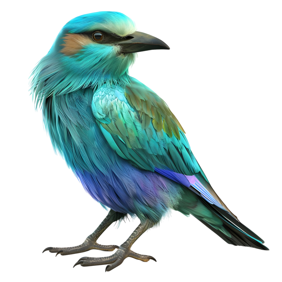Roller bird with vivid blue and green plumage isolated on transparent background png