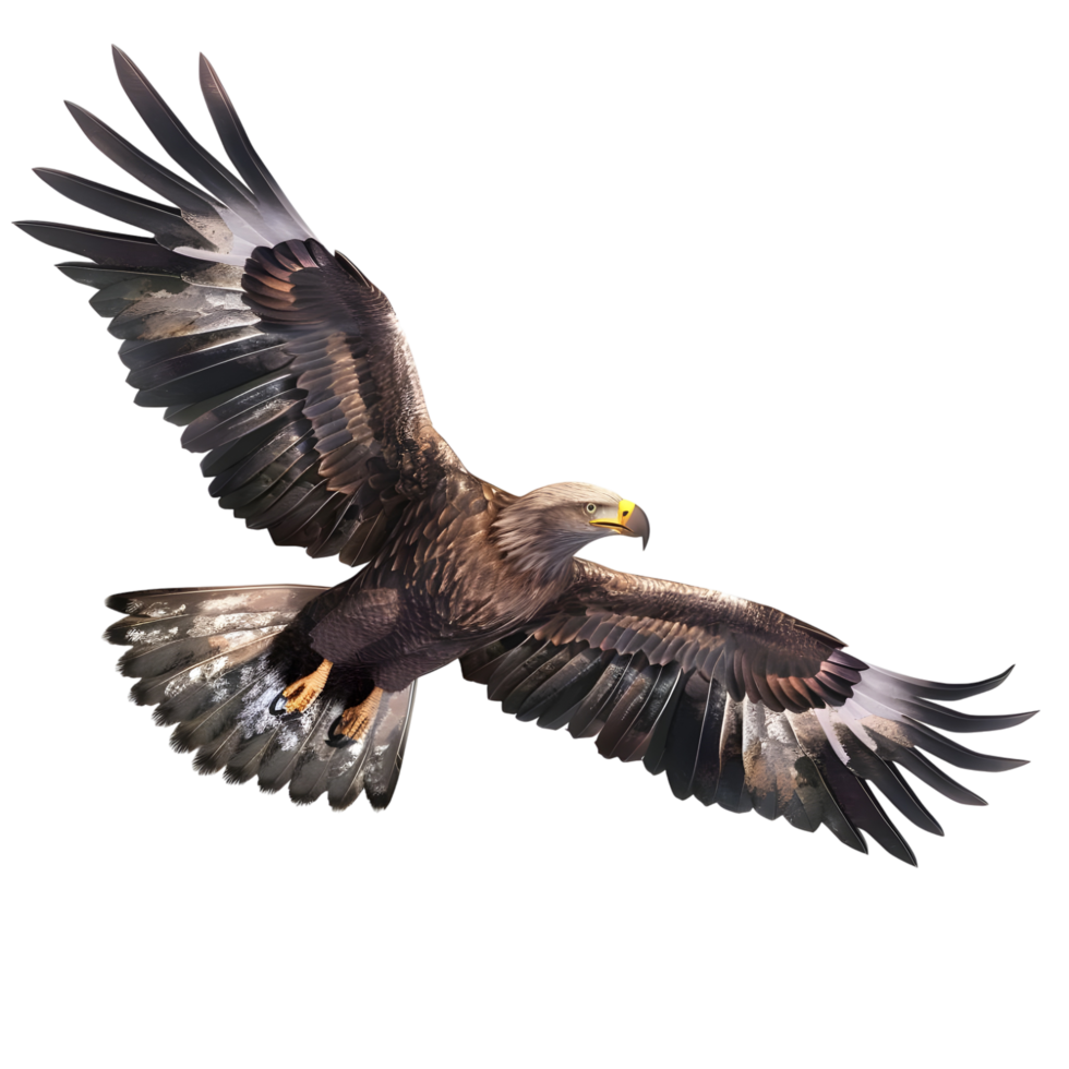 Eagle in Flight Isolated on Transparent Background png