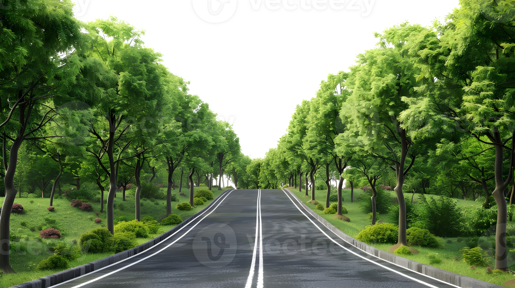 Straight Road with Trees Isolated on Transparent Background png