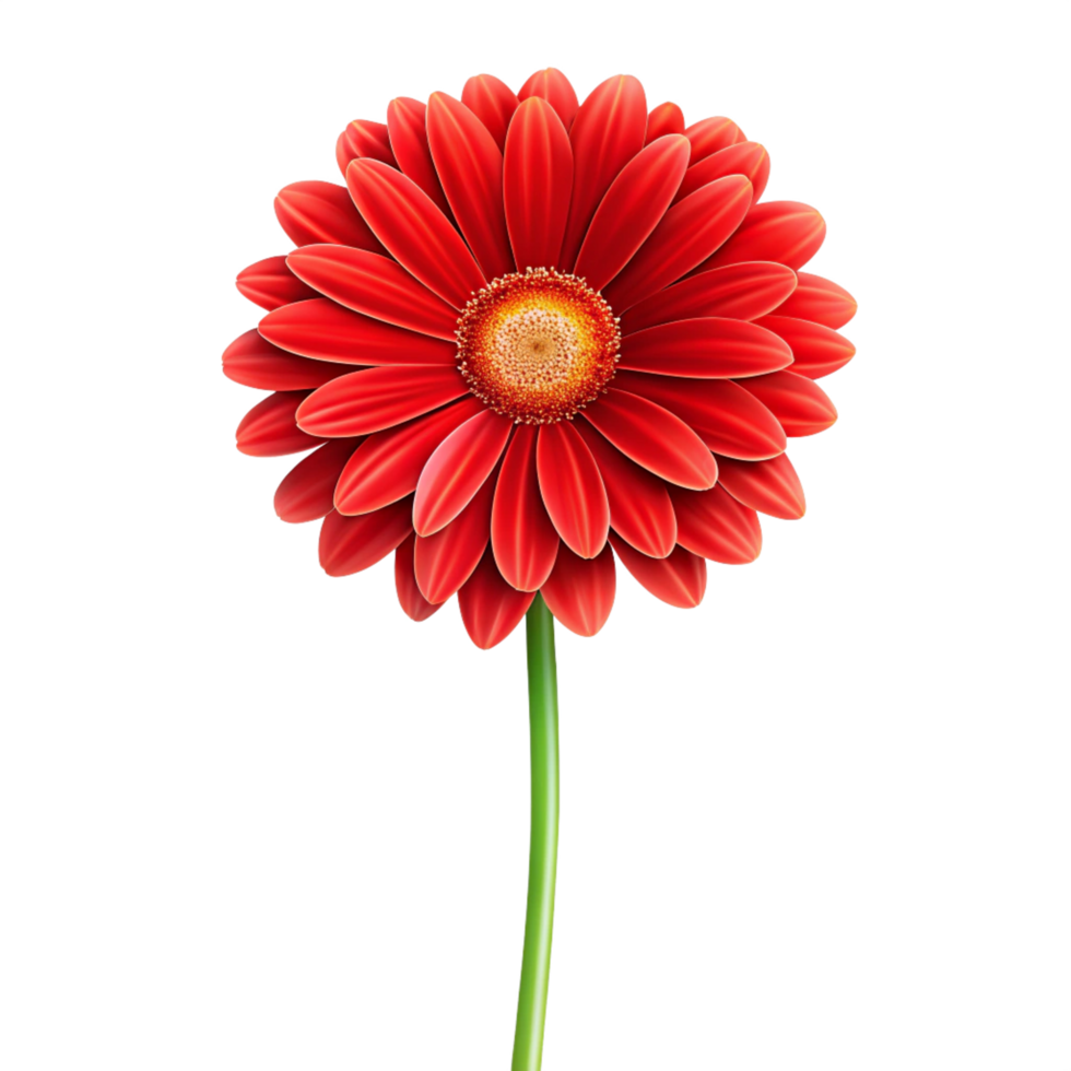 3d red flower isolated on transparent background png