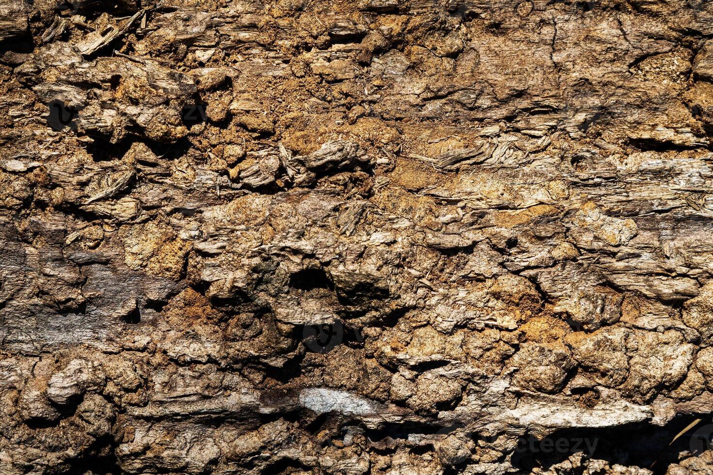 Wood abstract texture. Surface grunge backdrop. Dirty wooden effect pattern. photo