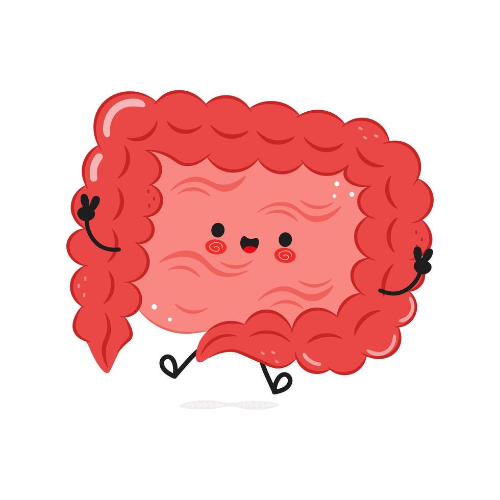 Cute cartoon Intestine character illustration on white background vector