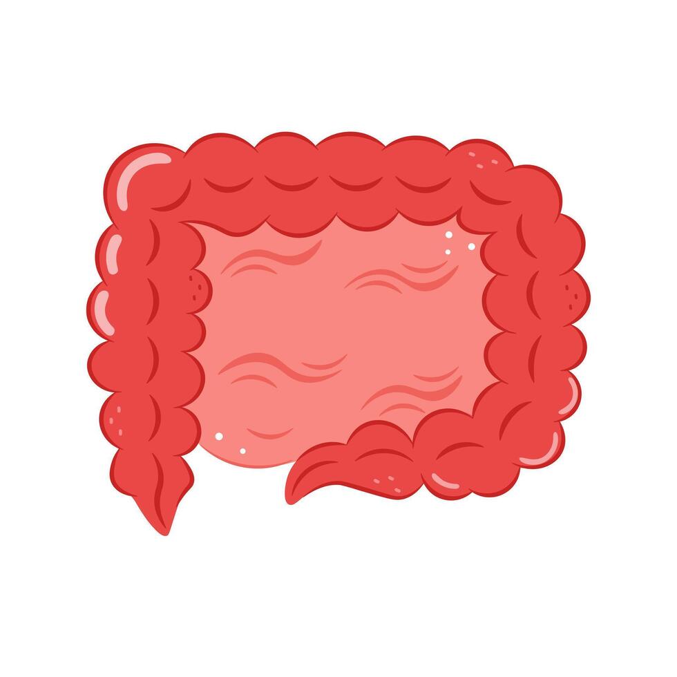 Cartoon-style human Intestine isolated on white background vector
