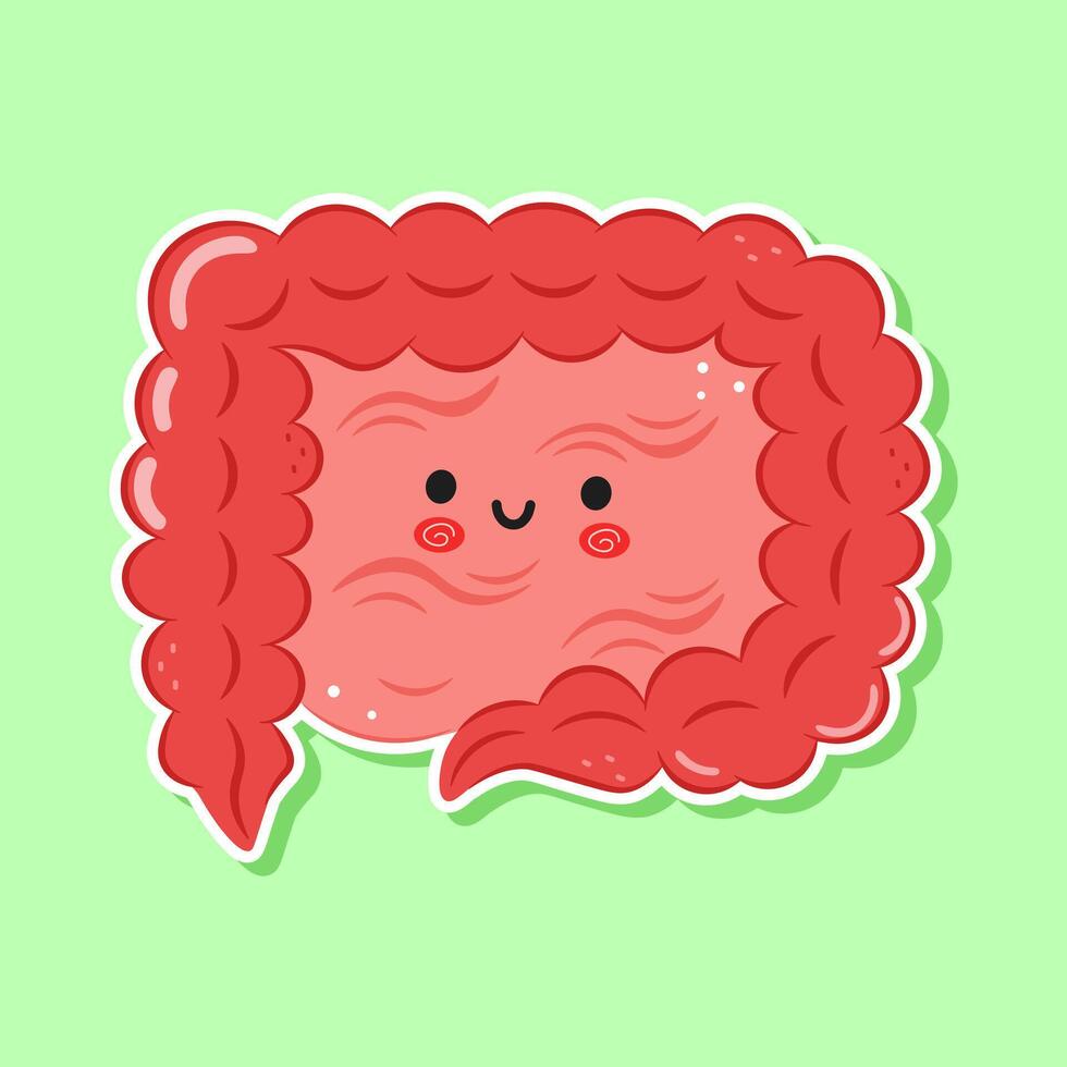 Cute cartoon illustration of human Intestines with a happy face vector