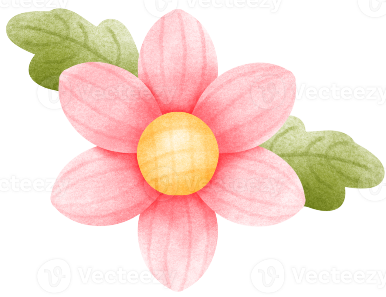 Pink watercolor Flowers with leaves png