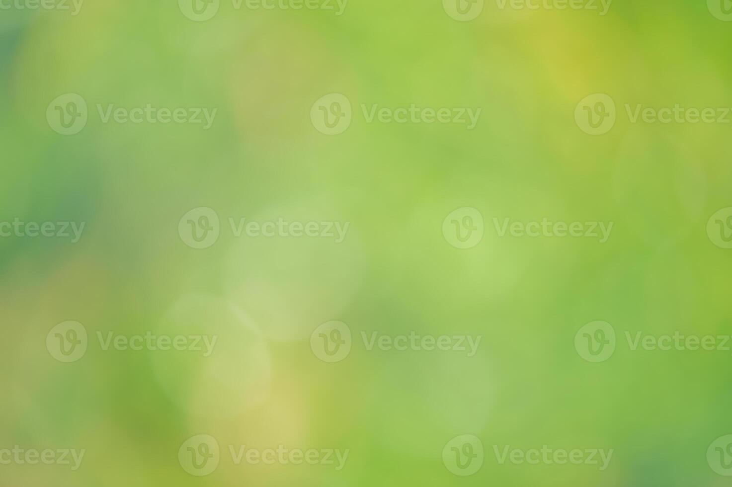 Defocus light background natural. Blurred leaves, bokeh photo