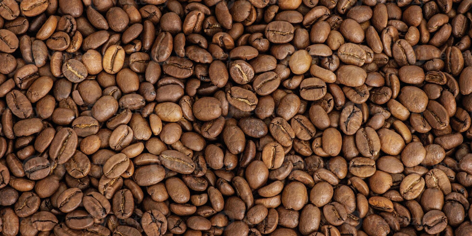 Roasted coffee beans as a background web size photo