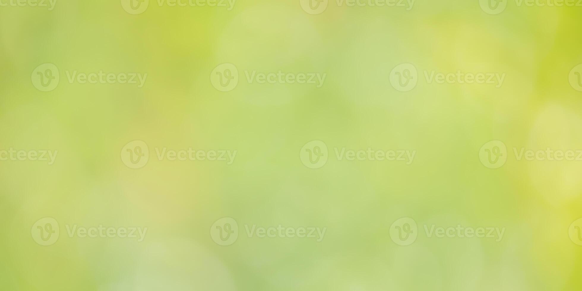 Defocused blurred green background web size. Abstract natural background. photo