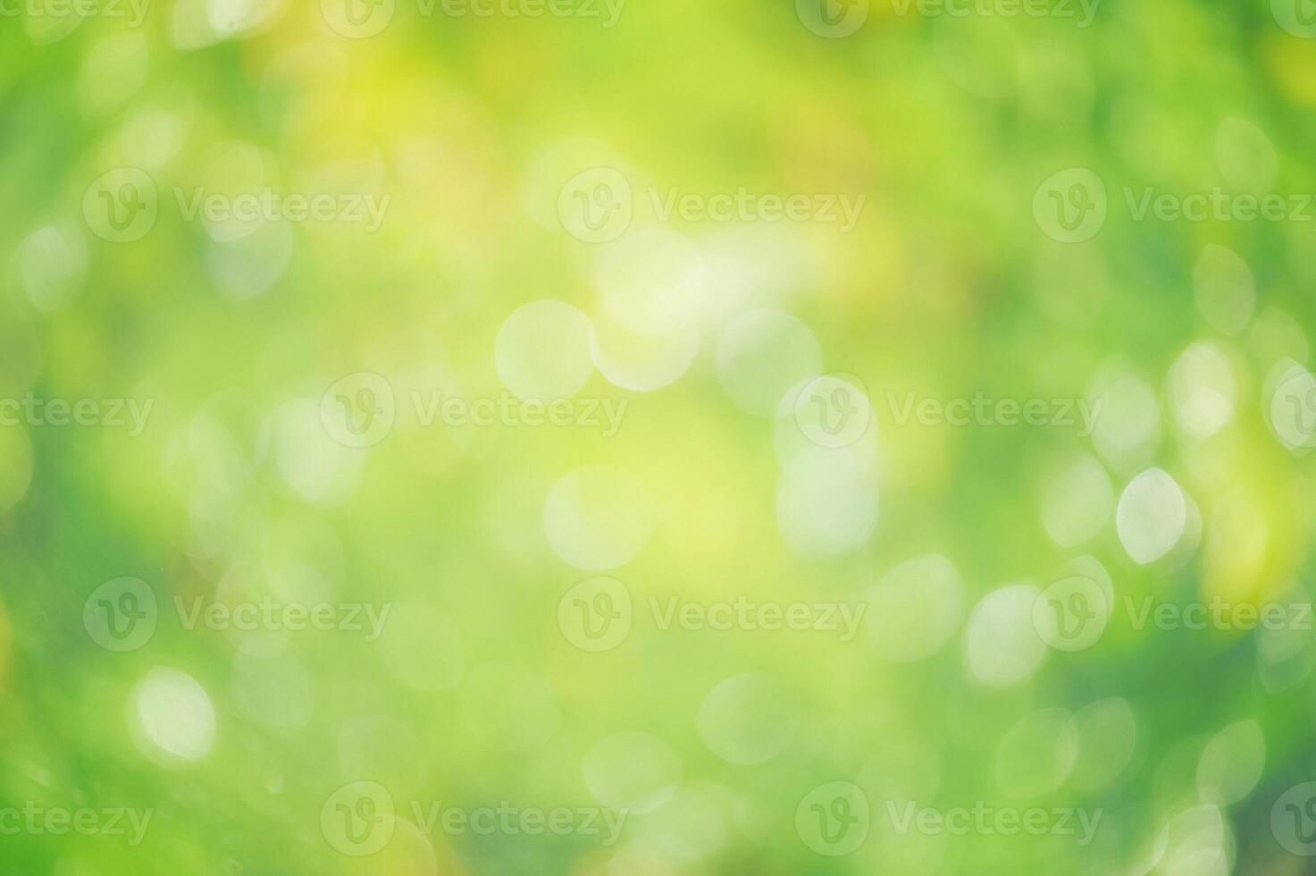 Defocused background green blurred leaves. Defocus light natural blurred greenery. photo