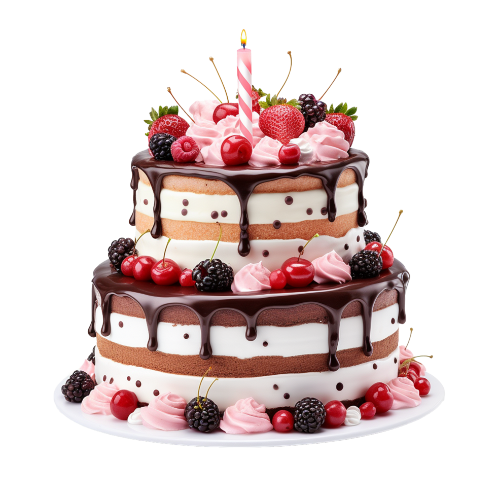 Delicious Two-Tiered Birthday Cake with Berries and Chocolate Ganache, png
