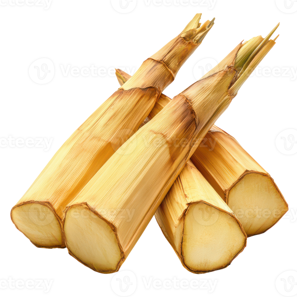 Freshly harvested sugarcane ready for juicing and snacking png