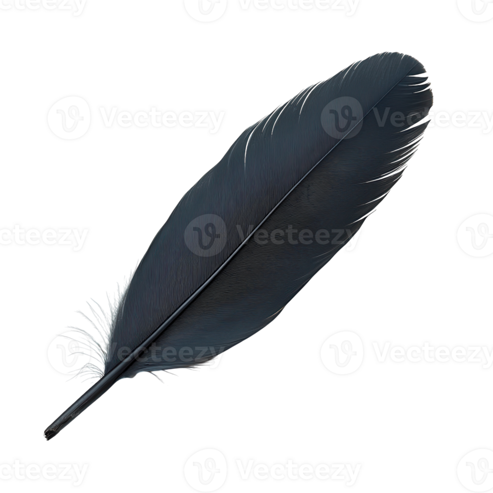 Elegant black feather resting on a smooth surface png