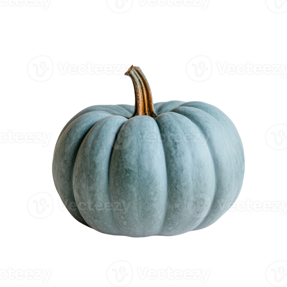 Unique blue pumpkin resting on a simple white backdrop png