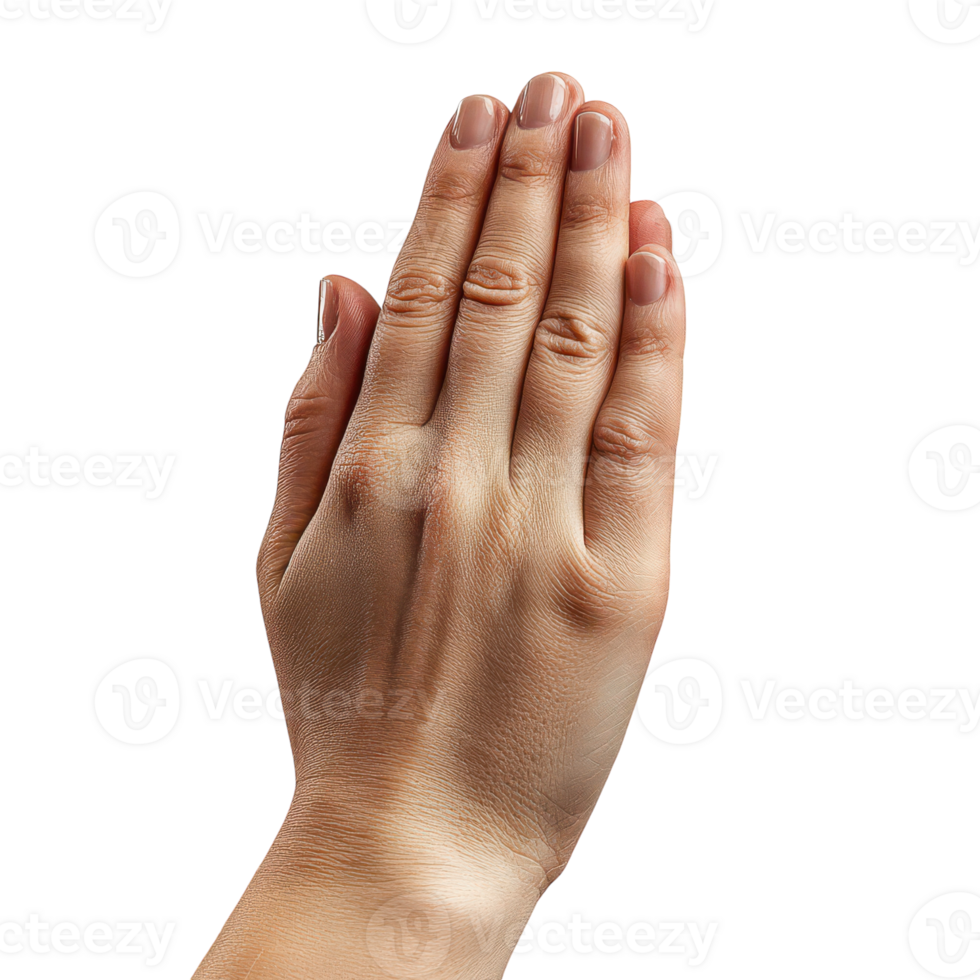 Serene Praying Hands Symbolizing Peace and Reflection on a White Background png