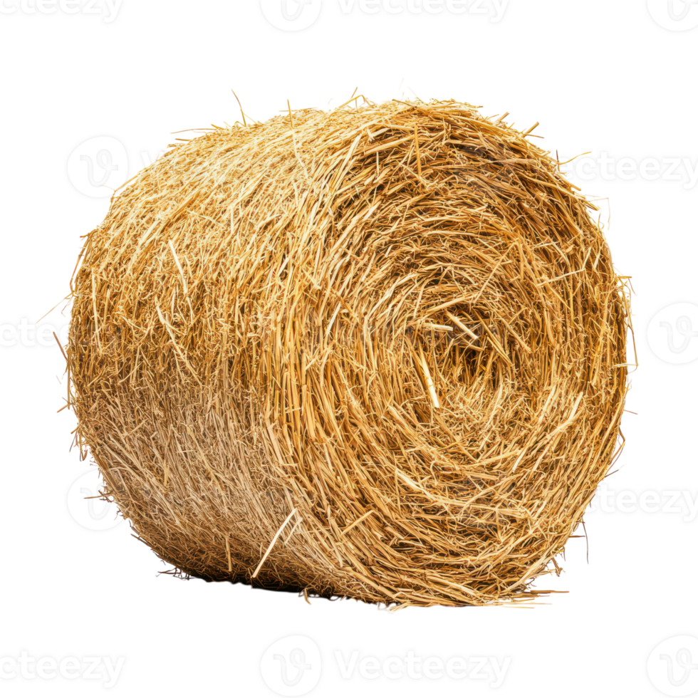 Round Hay Bale Isolated on White Background for Agricultural and Nature Use png