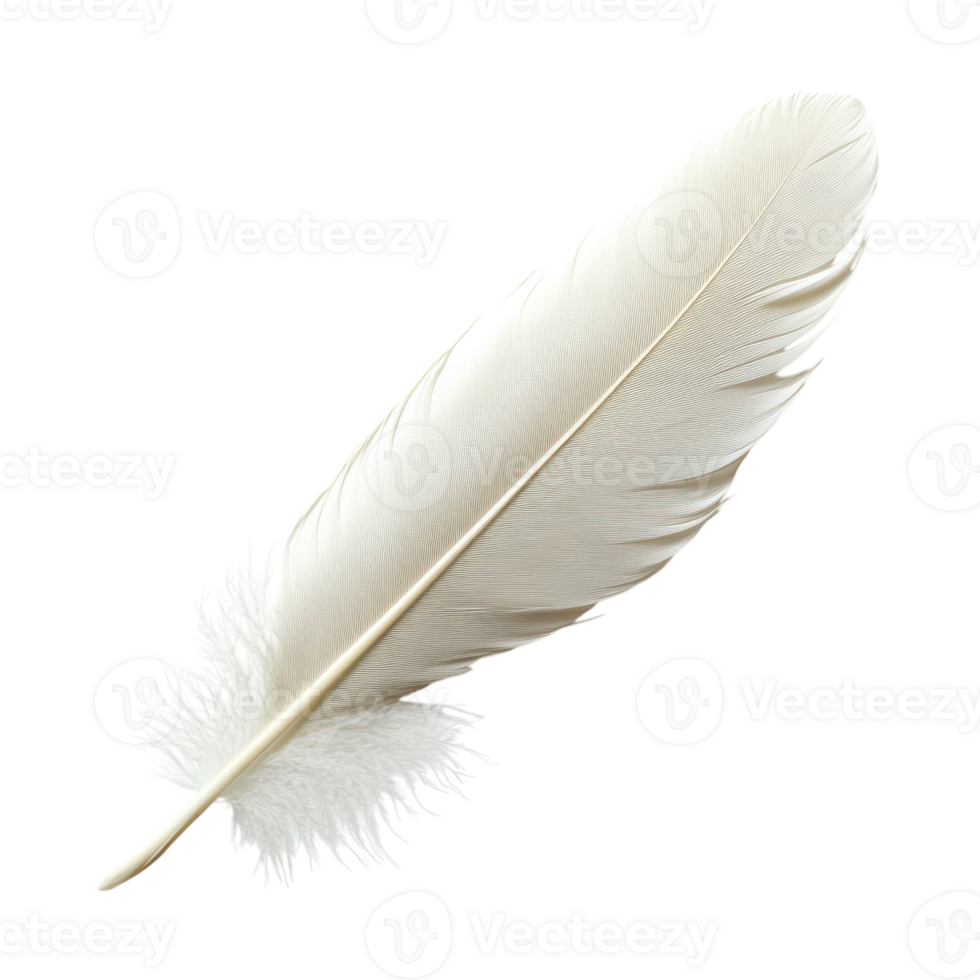 White Feather Isolated on a Clean Background for Elegant Design Use, isolated on transparent background, Format png