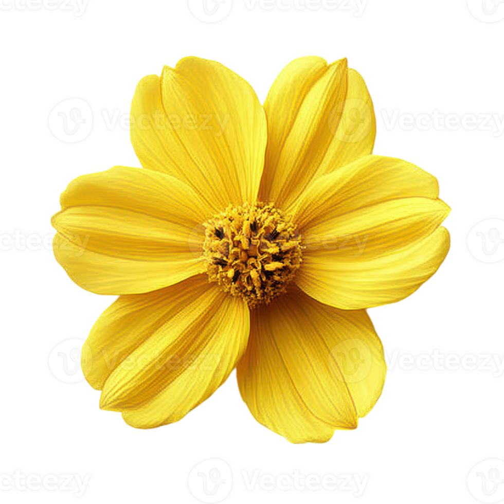 Vibrant Yellow Flower Isolated on White Background for Nature and Design Use, isolated on transparent background, Format png