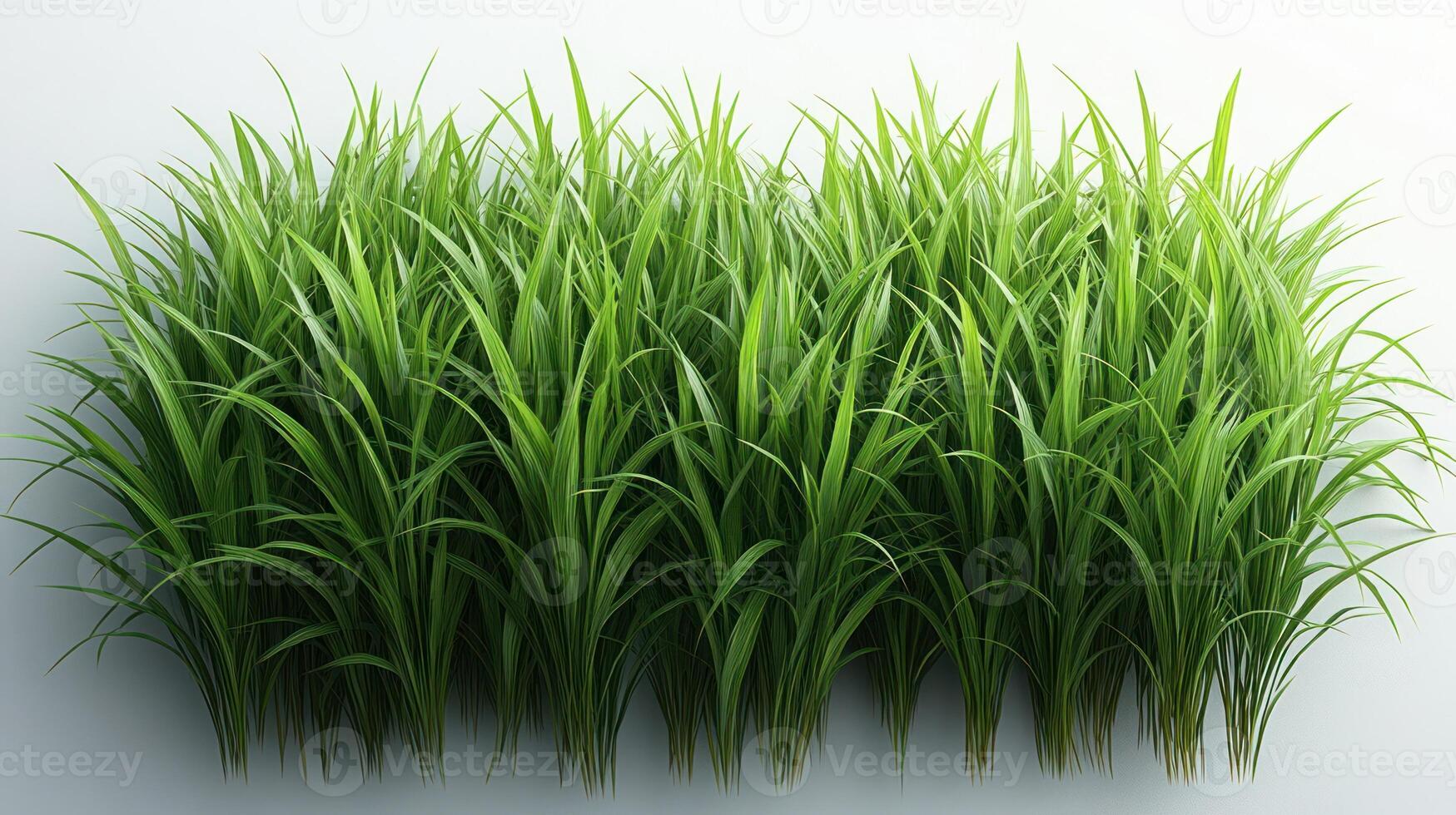 Fresh green blades of grass sway gently in the warm sunlight of a tranquil day photo