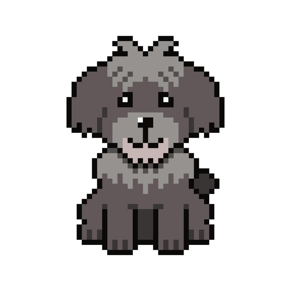 Pixel art shih tzu dog in retro style for design. vector