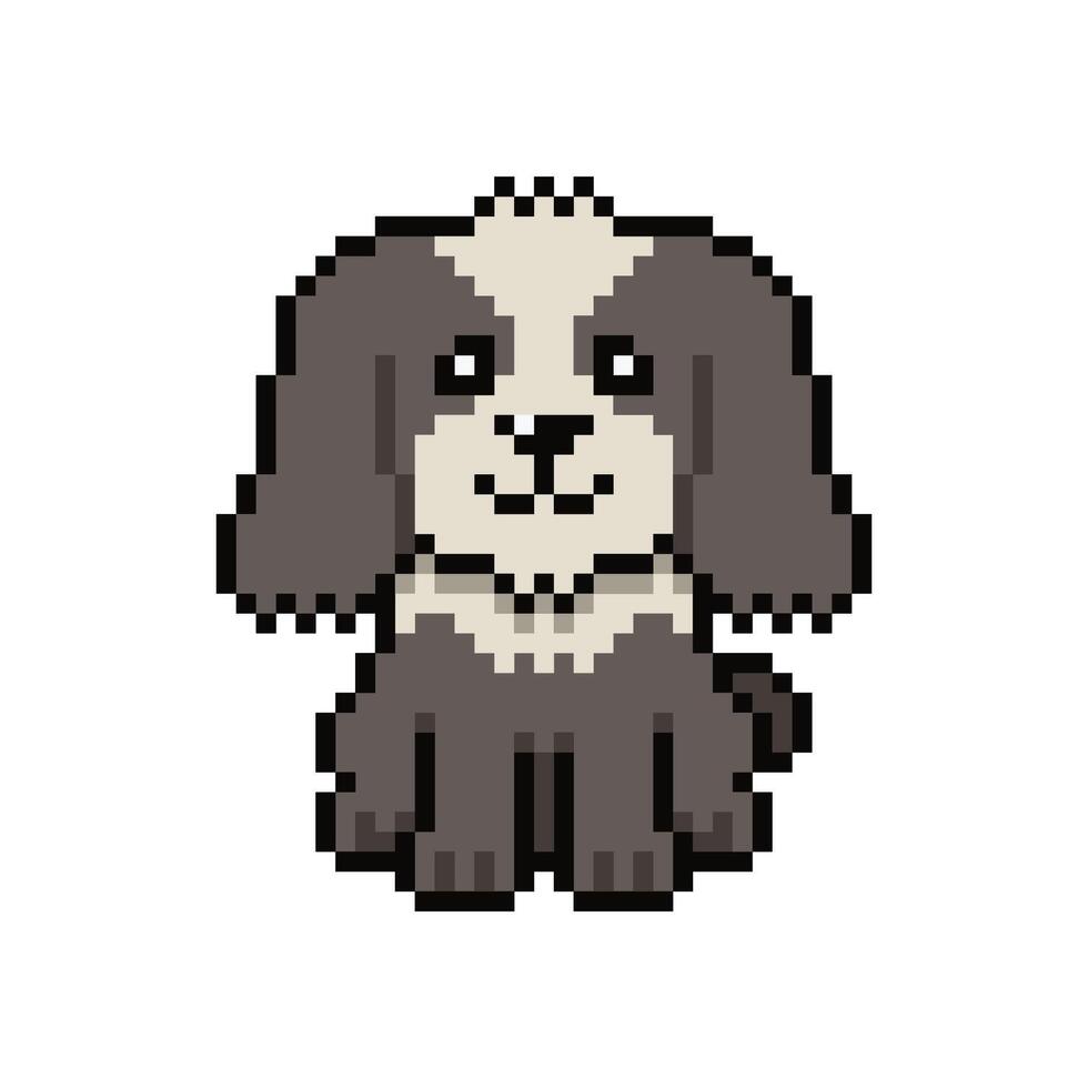 Pixel art cute shih tzu dog in retro style for design. vector