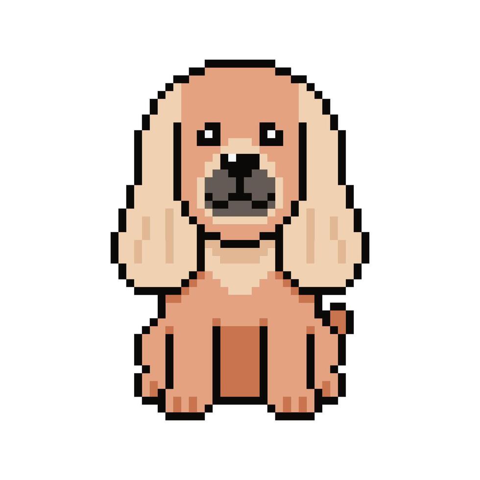 Pixel art afghan hound dog in retro style for design. vector